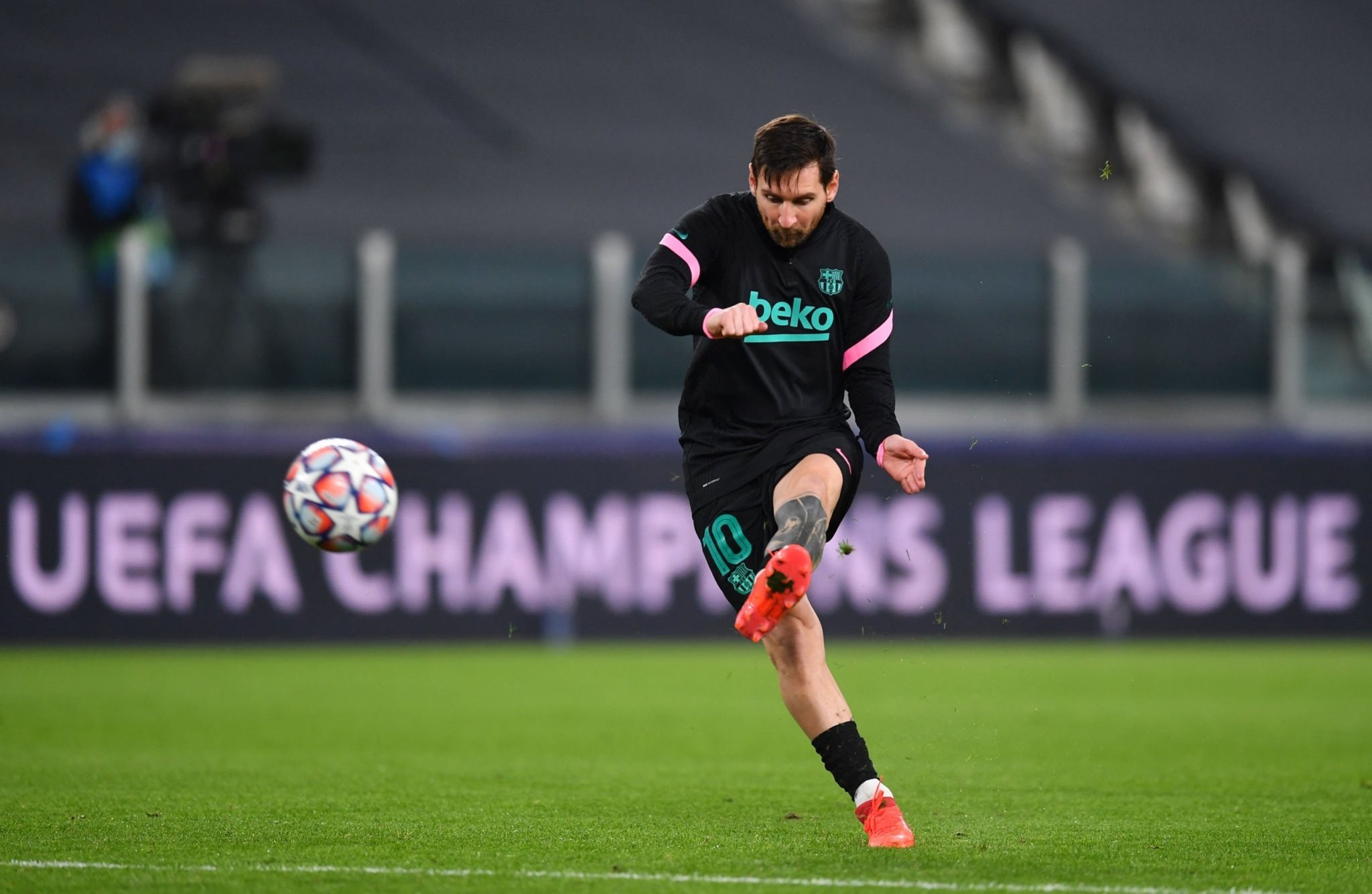 这对初学捕 这对初学捕